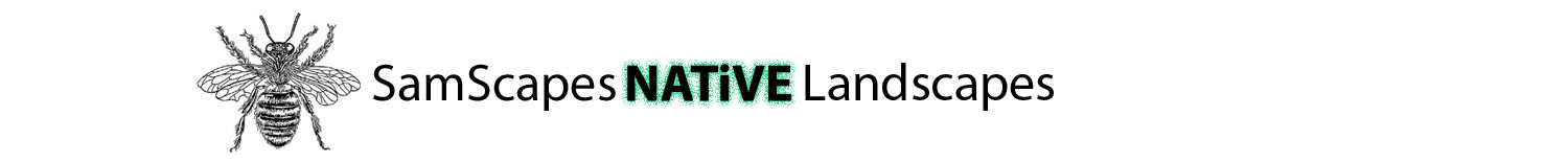 SamScapes NATiVE Landscapes Logo